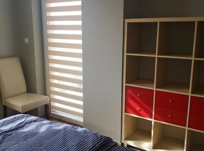 Sun Igor I Igor Ii -